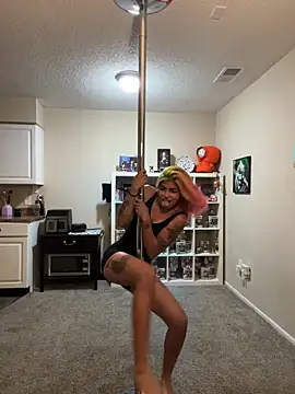 Harley cams online show from September 2025 03:53:02 AM