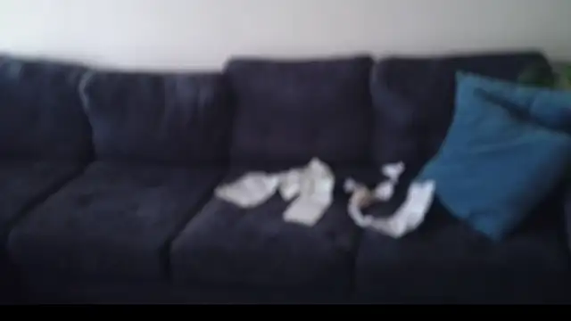 shurthingx online show from April 2026 06:04:02 PM