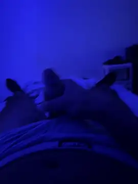 MoroccanDickkkkkk online show from October 2025 12:50:01 PM