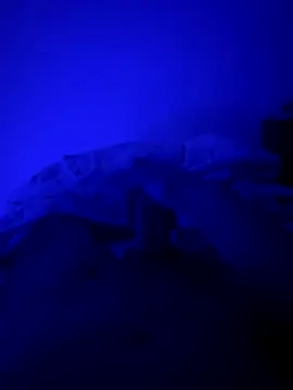 MoroccanDickkkkkk online show from November 2025 10:37:01 AM