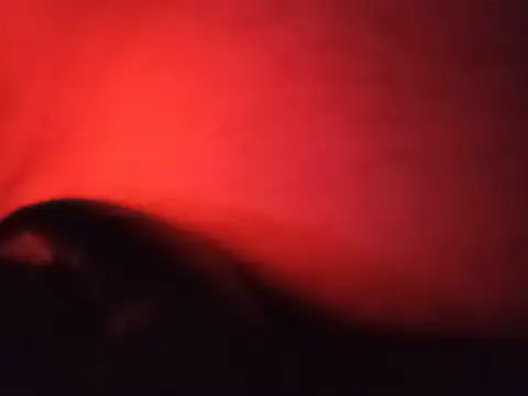 DawidSpandel online show from May 2026 04:48:01 PM