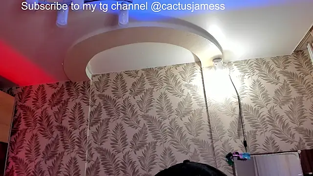 Cactus  James online show from December 2025 11:31:01 AM