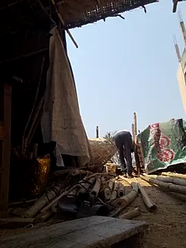 hot integer online show from March 2026 06:08:02 AM