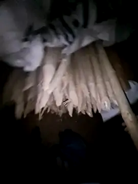 hot integer online show from March 2026 01:49:01 PM