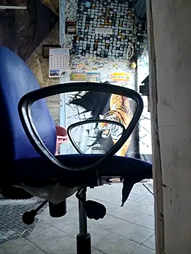 hot integer online show from June 2026 12:54:02 PM