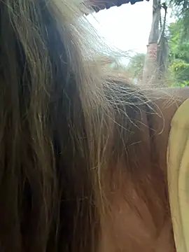 Brilliant-Splashes online show from February 2026 02:14:02 AM