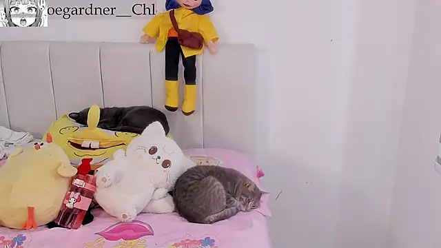 chloee gardner online show from October 2025 07:46:02 PM