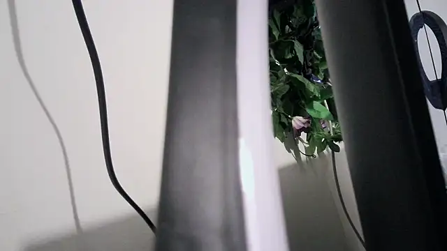 cherryboom23 online show from March 2026 07:25:01 PM