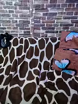 Casadaculona30 online show from March 2026 02:40:01 AM