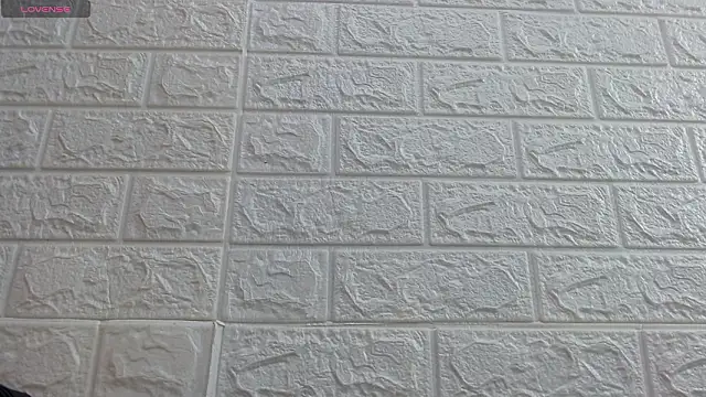 nei girl online show from March 2026 11:38:02 AM