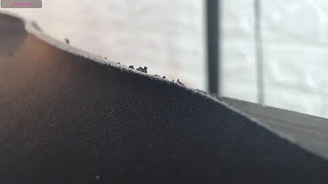 nei girl online show from November 2025 11:55:02 AM