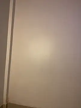 taimara 1 online show from March 2026 02:45:01 PM