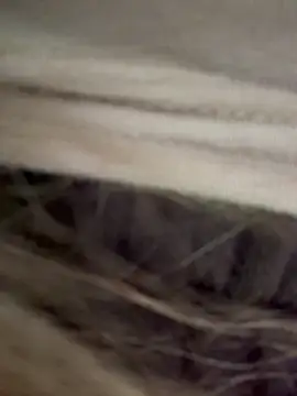 bambi lu online show from March 2026 06:20:01 PM