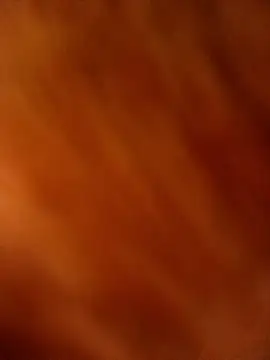 A-1PLAYBOY0 online show from January 2026 11:11:02 PM