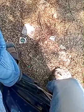 A-1PLAYBOY0 online show from January 2026 06:50:01 AM