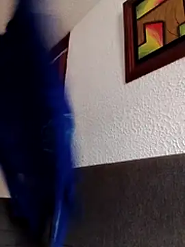 dulcewitch online show from November 2025 02:06:01 PM