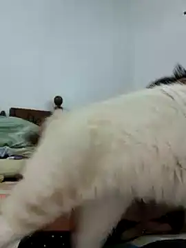 Snapshot of Saraslow chatting on October 2025 02:05:01 PM Saraslow online show from October 2025 02:05:01 PM