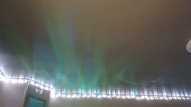 mavismable online show from February 2026 06:22:01 AM