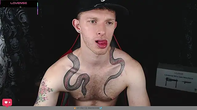 andrewxbi online show from February 2026 12:03:02 PM