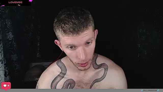 andrewxbi online show from April 2026 02:29:02 PM