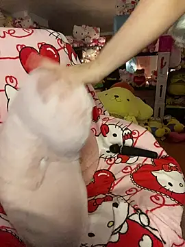 w3tkittty online show from March 2026 02:37:01 AM