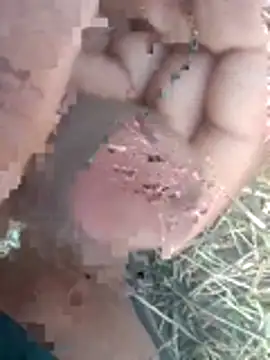 perplexedsoul online show from December 2025 09:21:01 AM