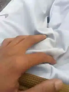 Snapshot of tiibcstuj chatting on February 2026 12:16:02 PM tiibcstuj online show from February 2026 12:16:02 PM