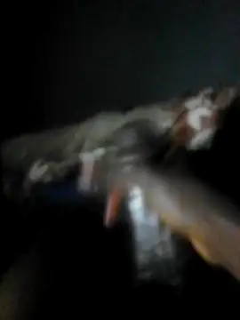 Snapshot of mydickbedarkandthick chatting on November 2025 11:15:01 PM mydickbedarkandthick online show from November 2025 11:15:01 PM