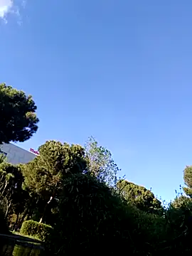 hotCOUPLEPETRA online show from April 2026 05:18:01 PM