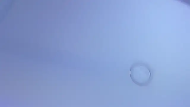 ZoeMorris online show from October 2025 11:42:01 AM