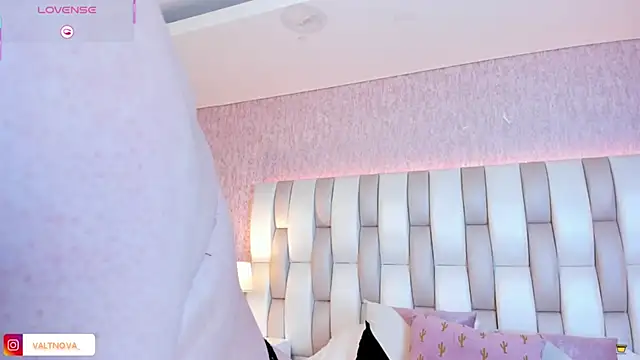 Snapshot of valt_ chatting on November 2025 08:23:02 PM valt online show from November 2025 08:23:02 PM