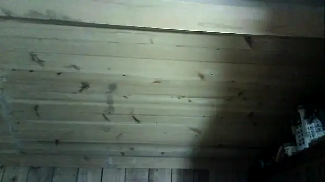 Angelsordemons6 online show from March 2026 08:27:02 PM