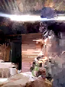 paptsimo online show from November 2025 02:14:02 AM