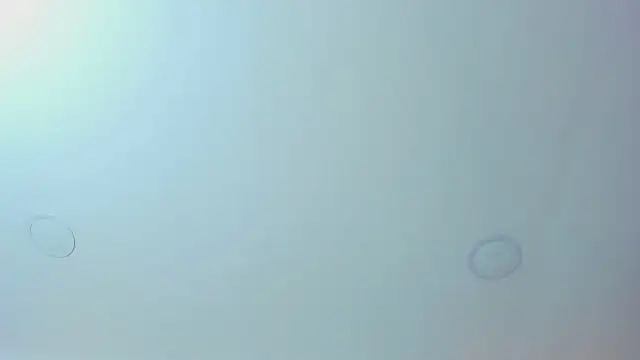 Antonella west online show from March 2026 09:08:02 PM