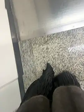 xiaoyuan01 online show from February 2026 02:07:02 AM