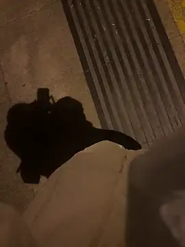 xiaoyuan01 online show from January 2026 02:32:02 PM