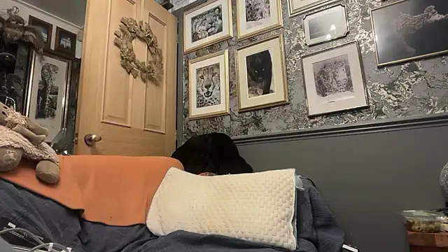 poggles online show from February 2026 08:22:01 PM