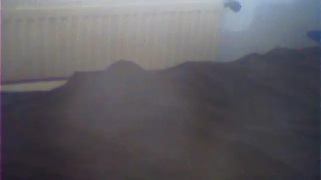rimbaud77 online show from August 2026 11:16:01 AM