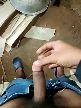 zim200 online show from November 2025 03:56:02 AM