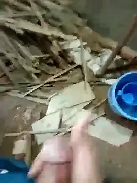 zim200 online show from November 2025 06:36:01 AM