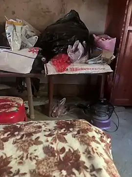 Snapshot of chenyu0308 chatting on November 2025 06:06:01 AM chenyu0308 online show from November 2025 06:06:01 AM