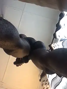 FlyBwoy online show from April 2026 12:40:01 PM