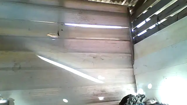 srtsara online show from April 2026 10:54:02 AM