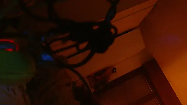 refem9 online show from February 2026 02:43:02 AM