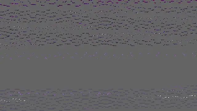 honeybeetest online show from March 2026 04:00:01 PM