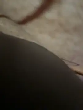 sweetsirenn online show from November 2025 02:39:02 PM