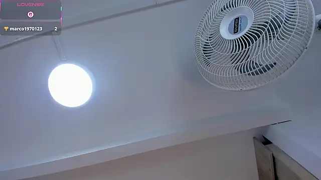 VICTORIAGRAYS online show from February 2026 11:19:01 AM