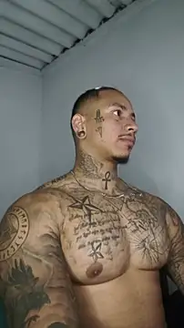 David tatto1 online show from June 2026 03:56:01 AM