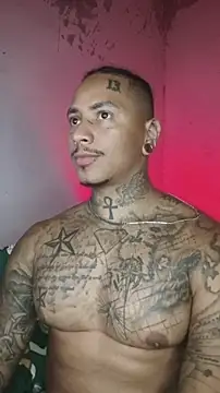 David tatto1 online show from February 2026 02:53:02 AM