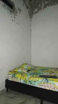 David tatto1 online show from March 2026 03:15:02 AM